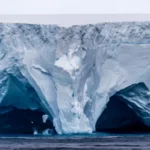 World’s largest iceberg runs aground off remote island
