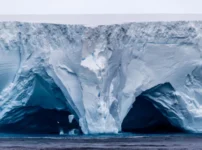 World’s largest iceberg runs aground off remote island