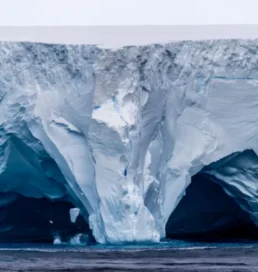 World’s largest iceberg runs aground off remote island