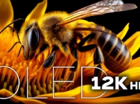 OLED Test 12k HDR 120fps Dolby Vision #OLED #12K #TV